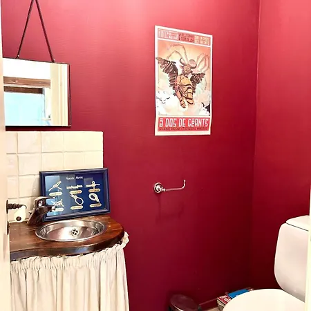 Maison De Caractere, Piscine & Grand Jardin A 10 Minutes De Toulouse Odars