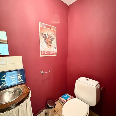 Maison De Caractere, Piscine & Grand Jardin A 10 Minutes De Toulouse Willa *