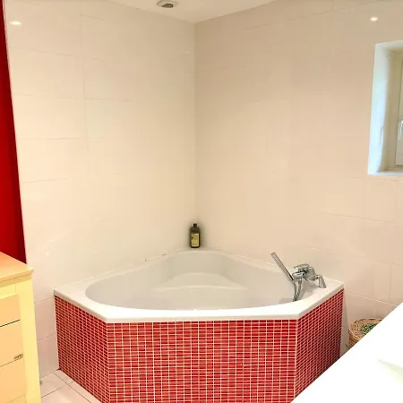 Maison De Caractere, Piscine & Grand Jardin A 10 Minutes De Toulouse Willa