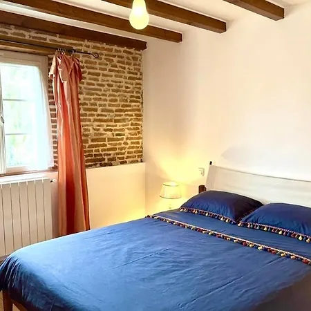 Maison De Caractere, Piscine & Grand Jardin A 10 Minutes De Toulouse * Odars